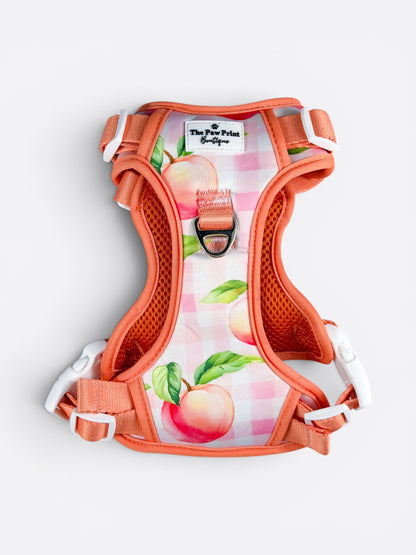 Peach Gingham Adventure Paws Harness