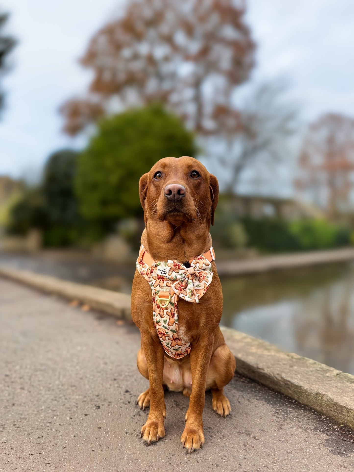 Gingerbread Grove Bow Tie