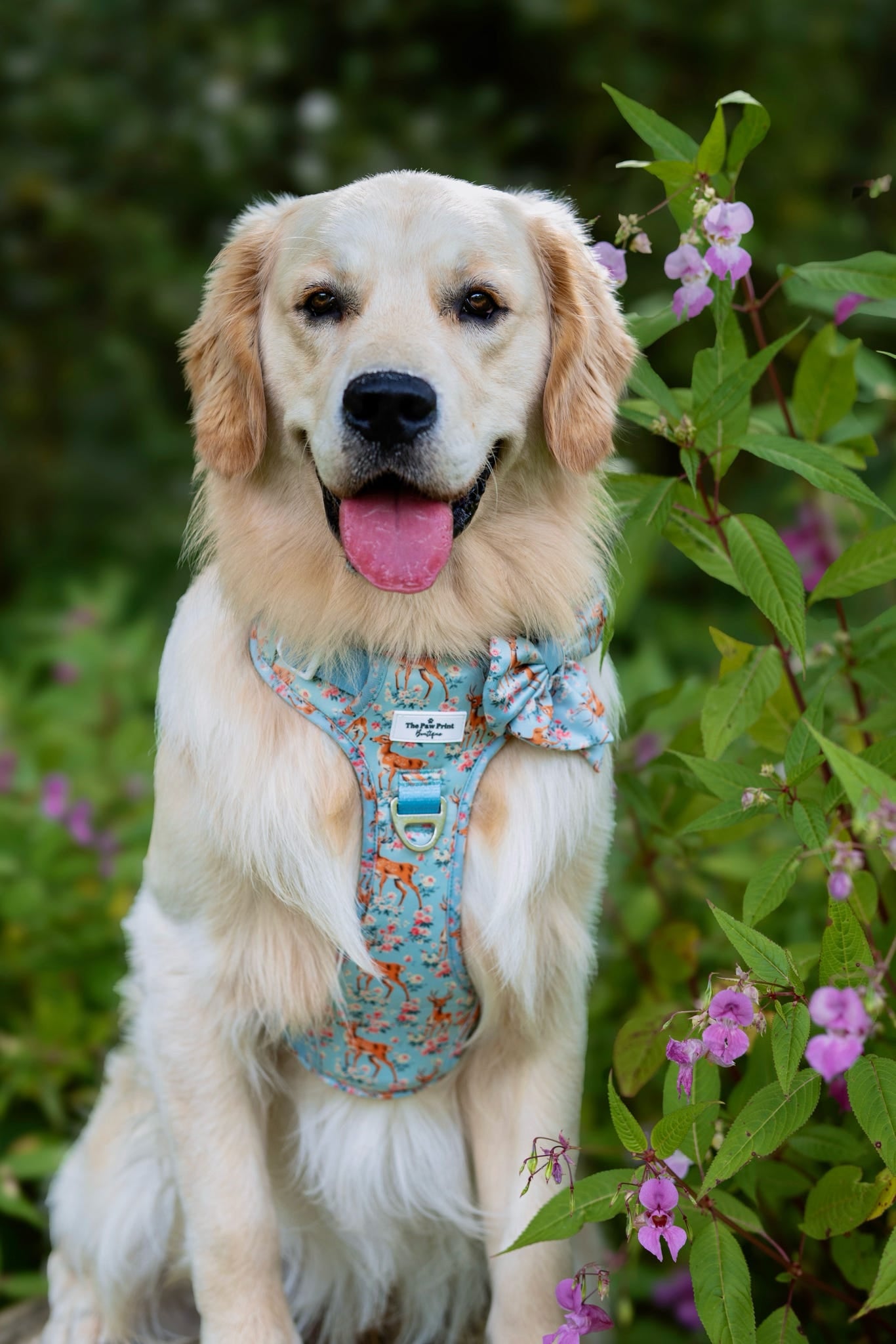 Bambi in Bloom Adventure Paws Harness