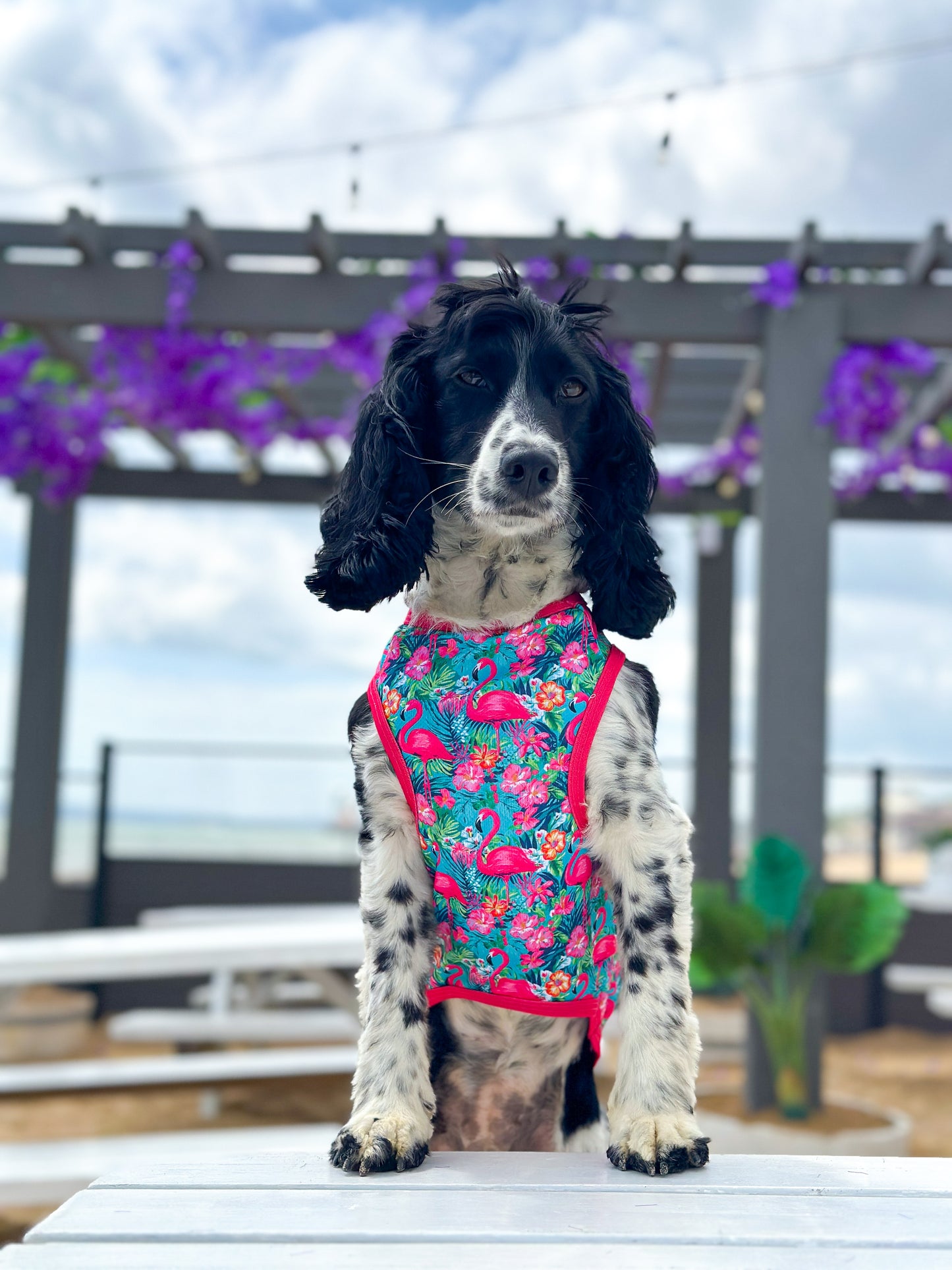 Tropical Pawradise Cooling Vest