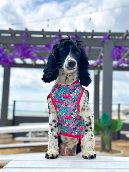 Tropical Pawradise Cooling Vest