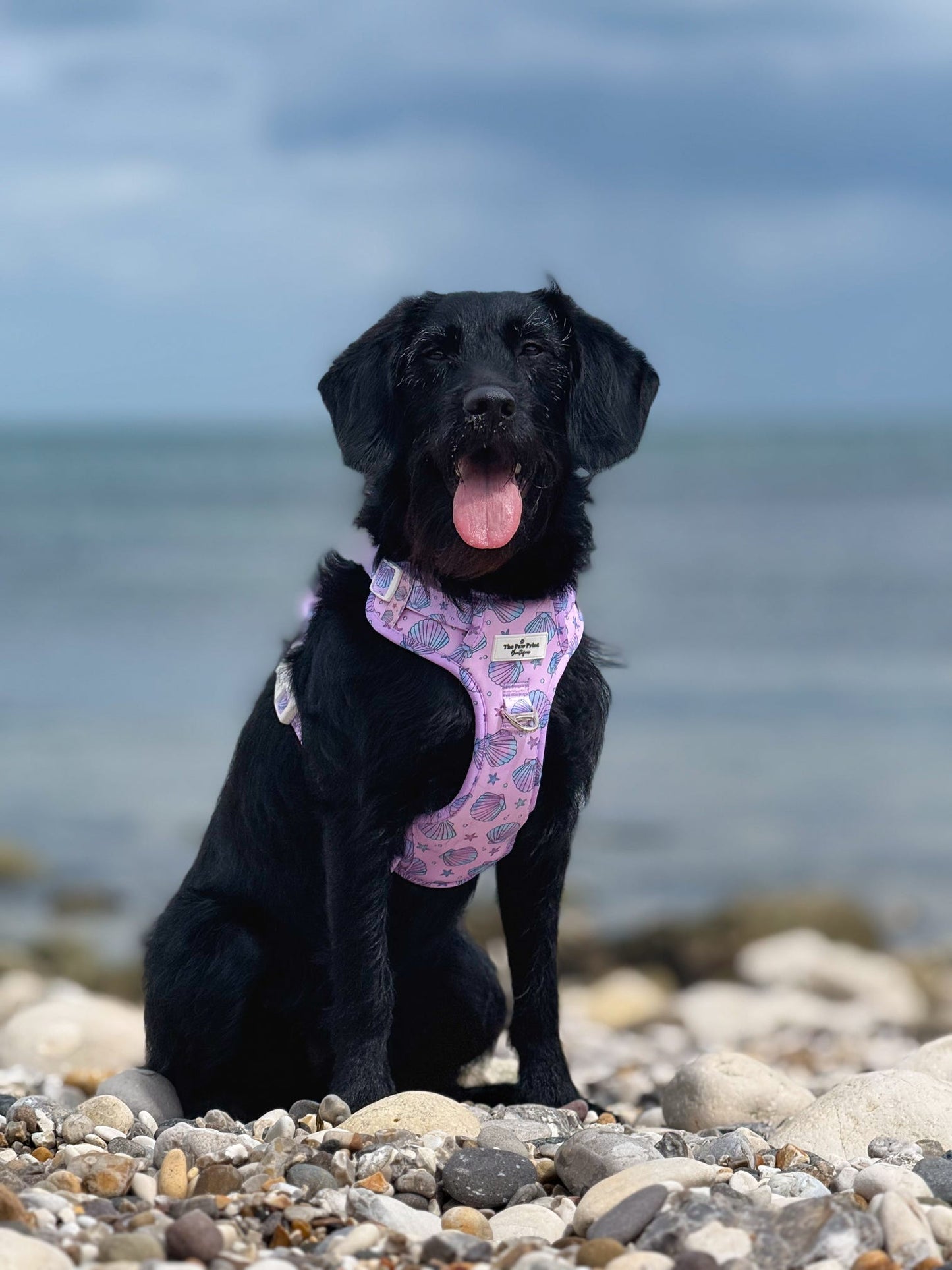 Mermaids Tails Adventure Paws Harness