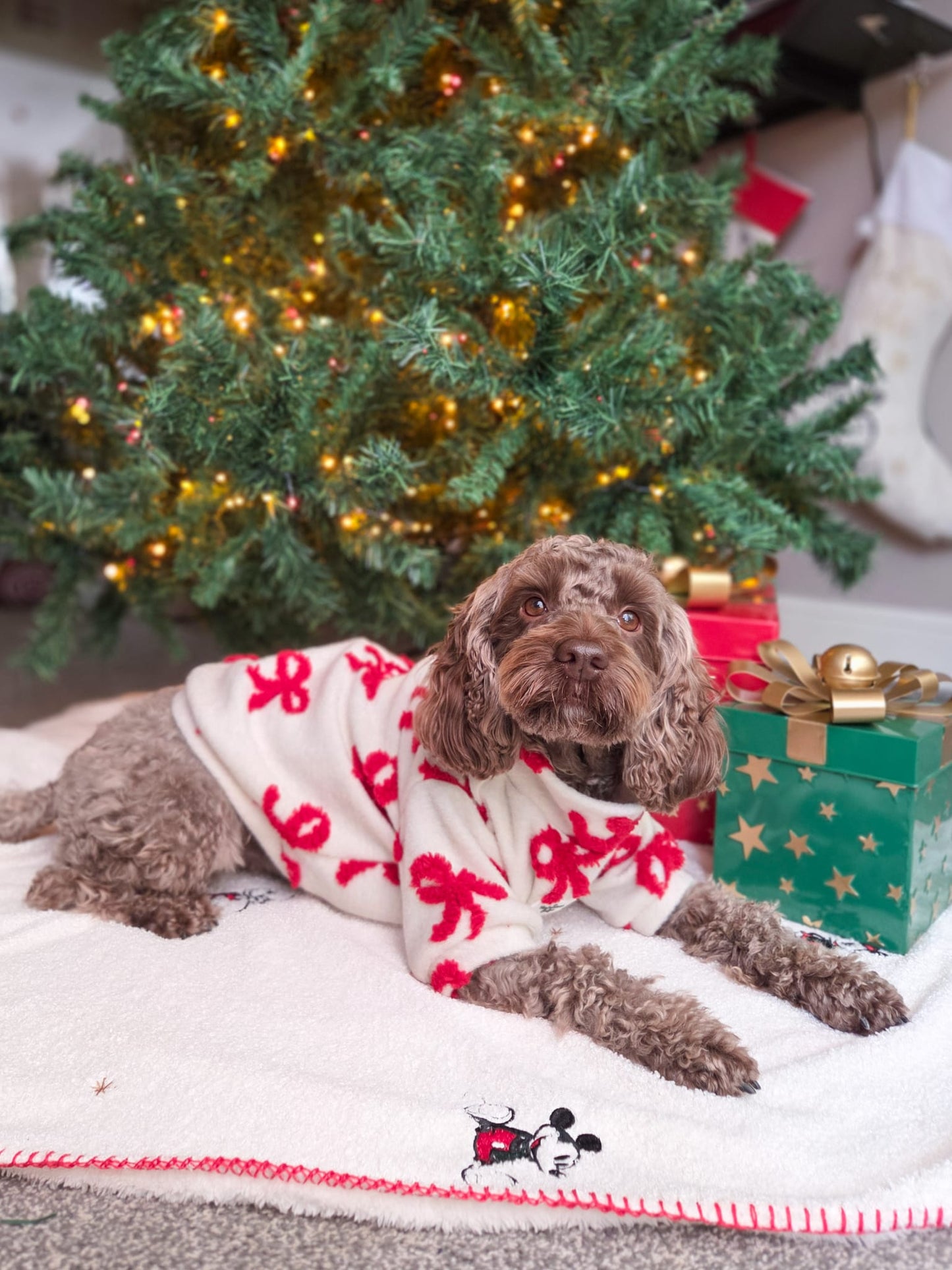 The Red Bow Fleece