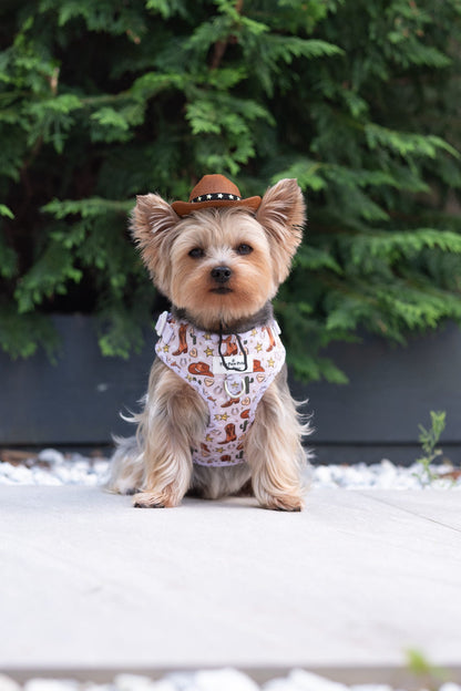 Howdy Pawtner Adjustable Harness