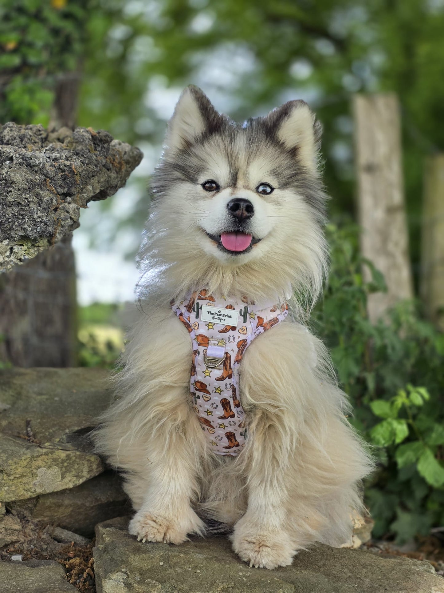 Howdy Pawtner Adventure Paws Harness