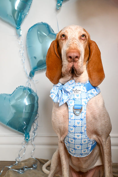 Blue Chequered Hearts Adventure Paws Harness