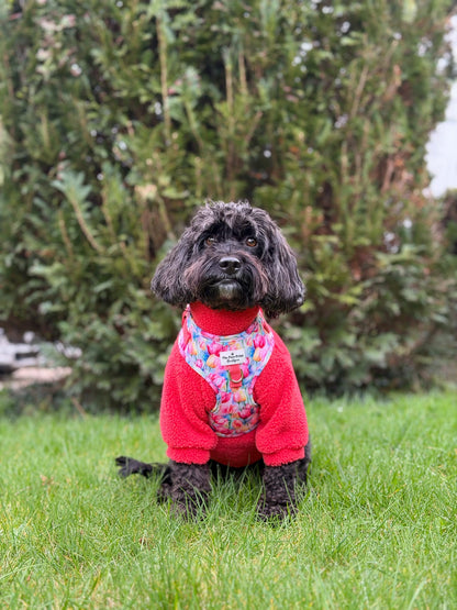 Teddy Fleece - Watermelon