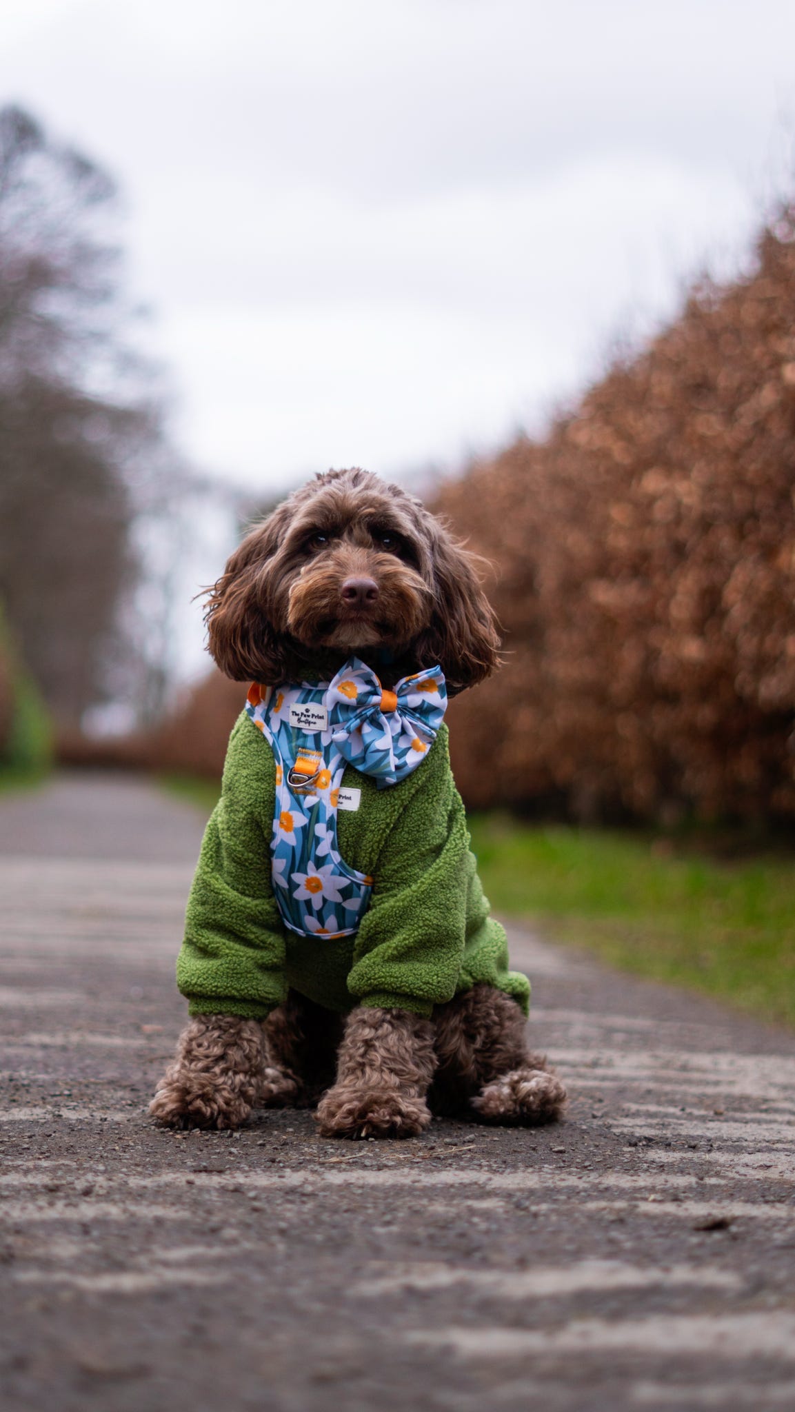 Teddy Fleece - Meadow