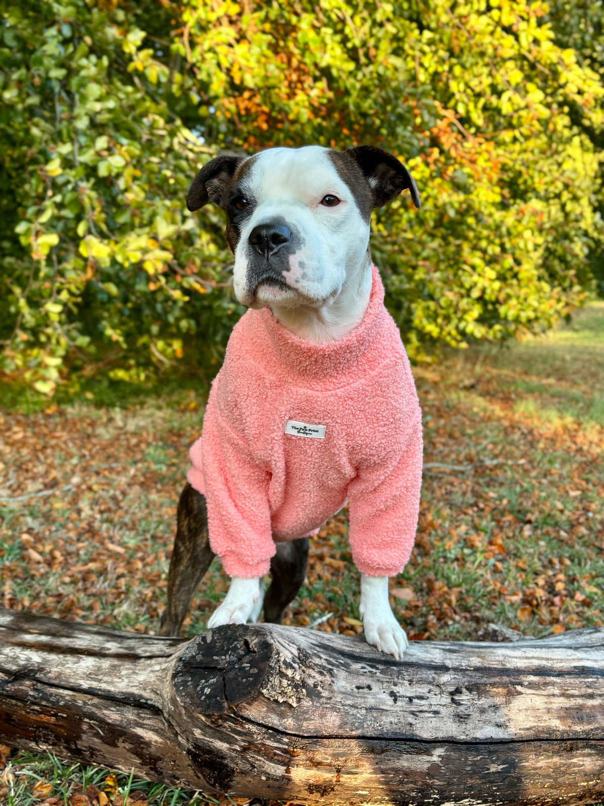 Teddy Fleece - Peach
