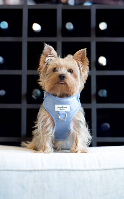 The Ocean Blue Adjustable Harness