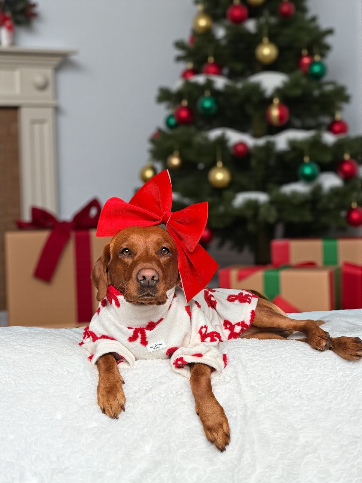 The Red Bow Fleece