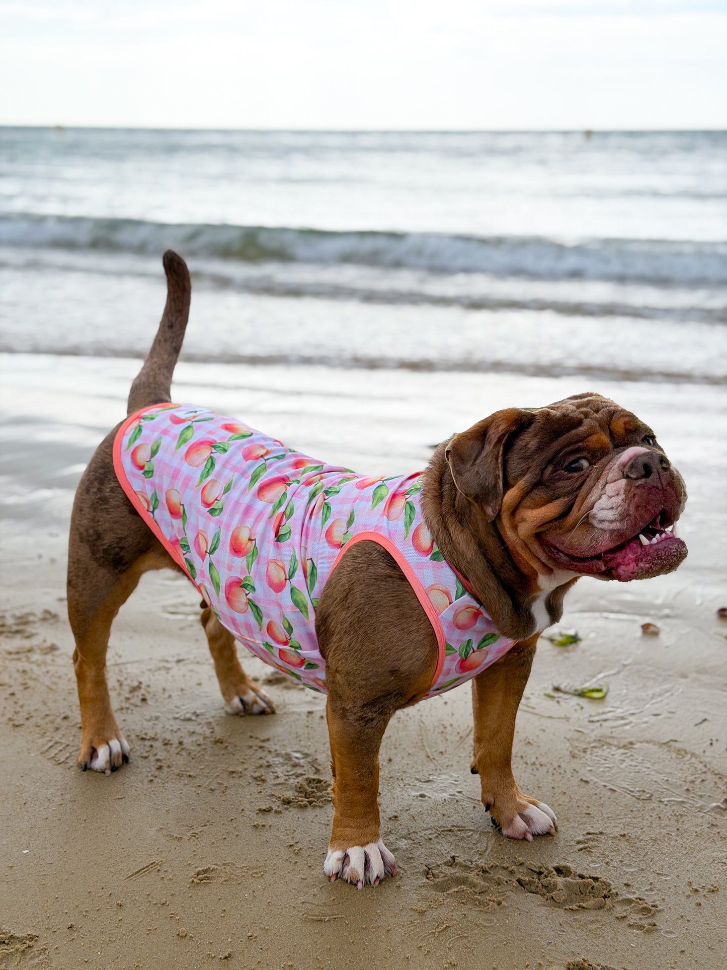 Peach Gingham Cooling Vest