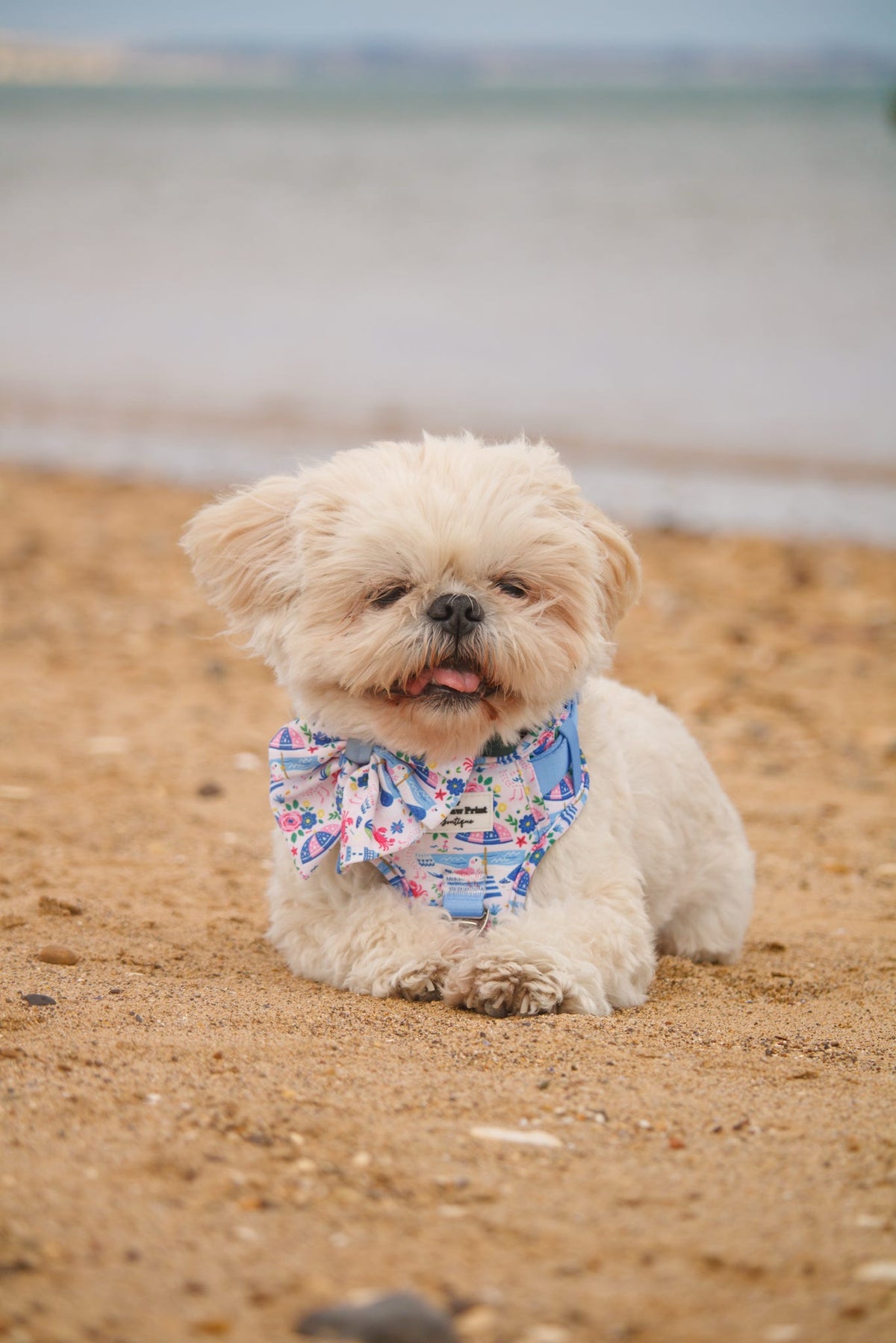 Santorini Seagulls Adventure Paws Harness