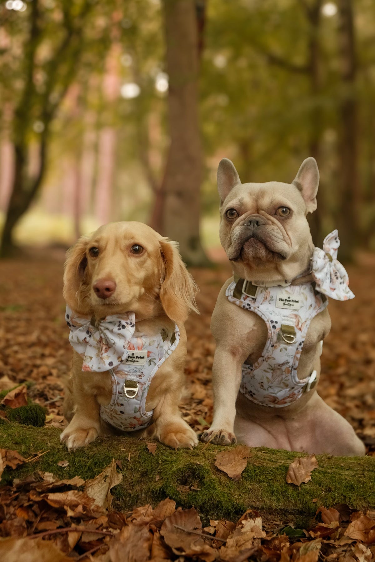 Whimsical Wildlife Adventure Paws Harness