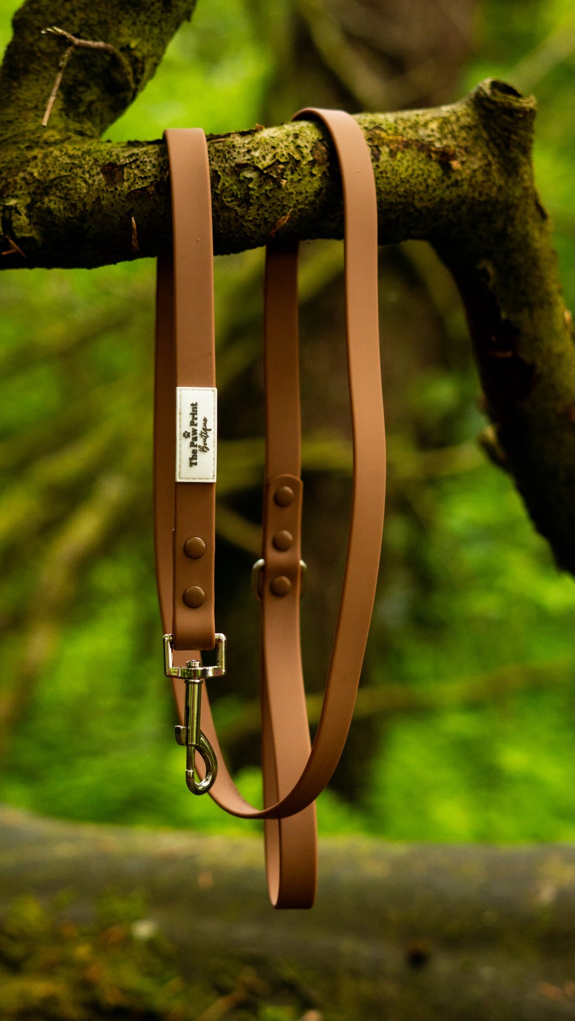 Waterproof Lead - Brownie
