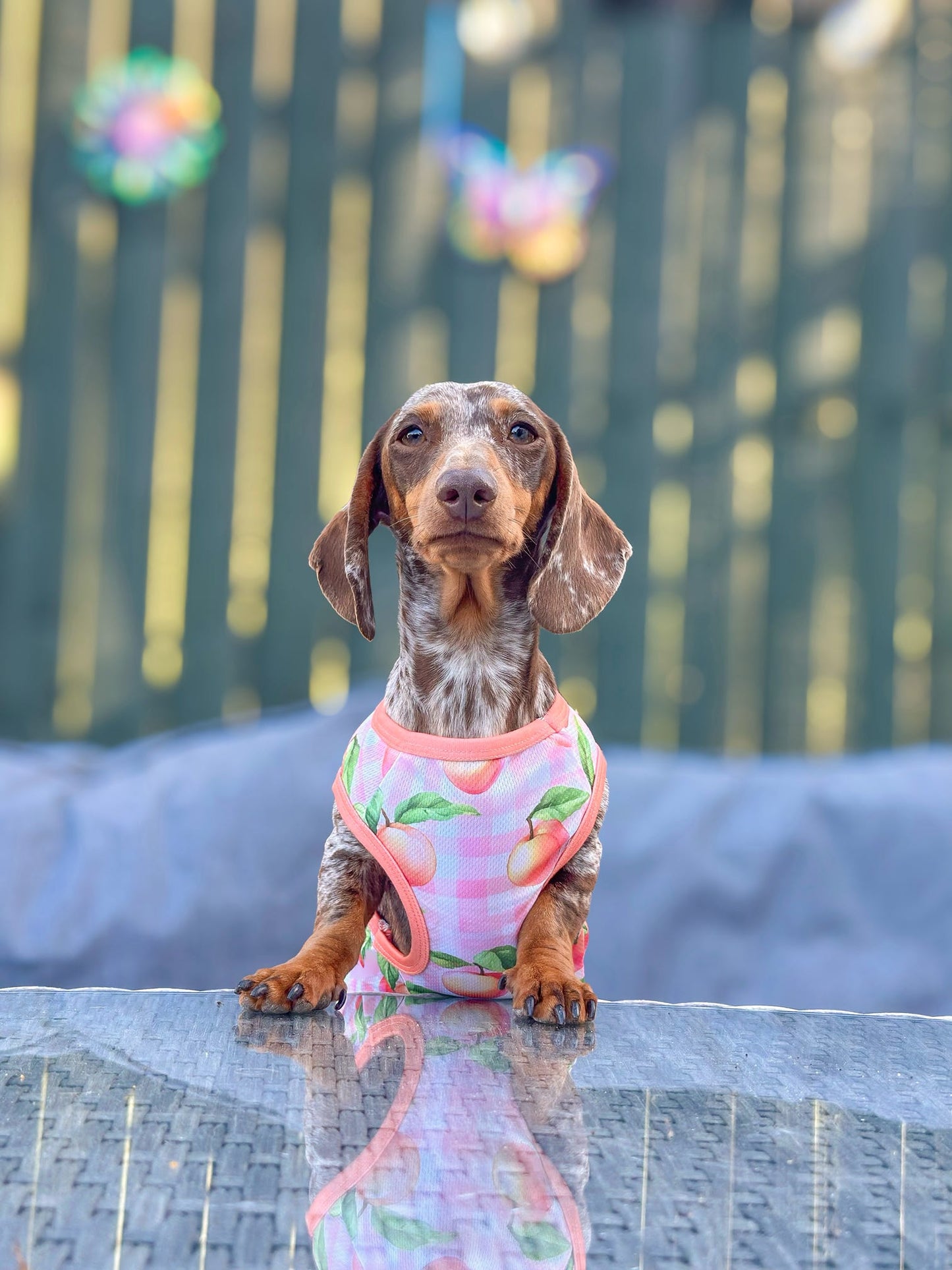 Peach Gingham Cooling Vest