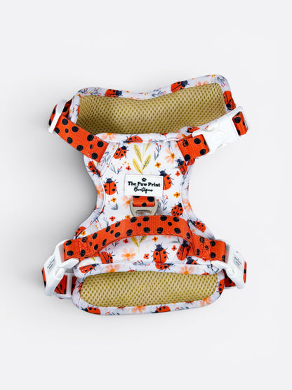 Ladybird Lane Adventure Paws Harness