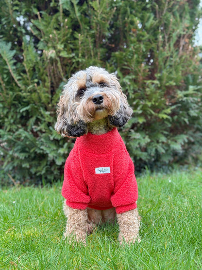 Teddy Fleece - Watermelon