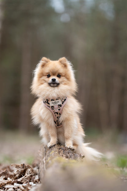 The Luxe Leopard (Beige) Adjustable Harness