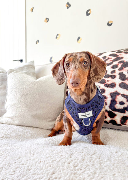 The Luxe Leopard (Navy) Adjustable Harness