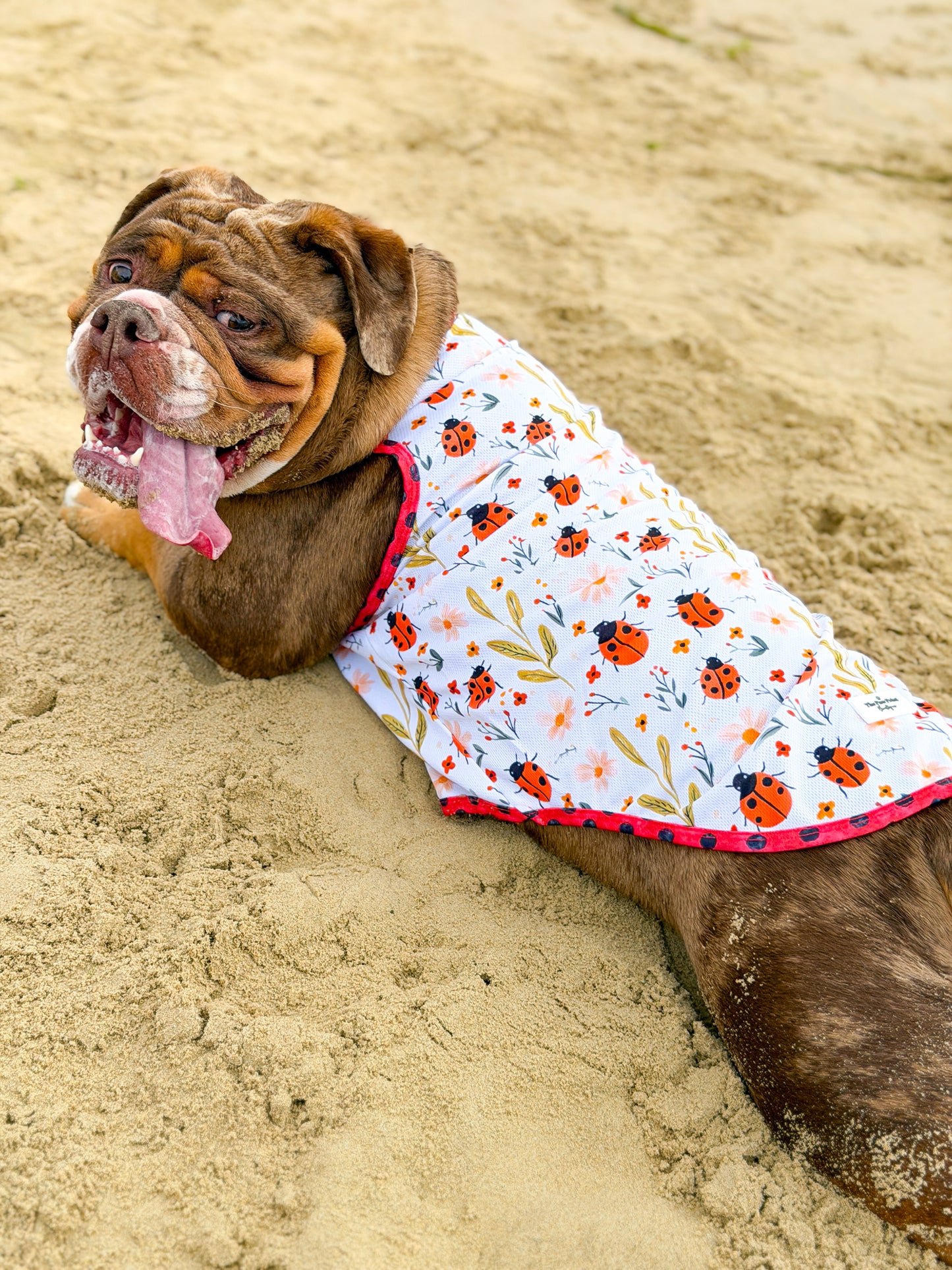 Ladybird Lane Cooling Vest