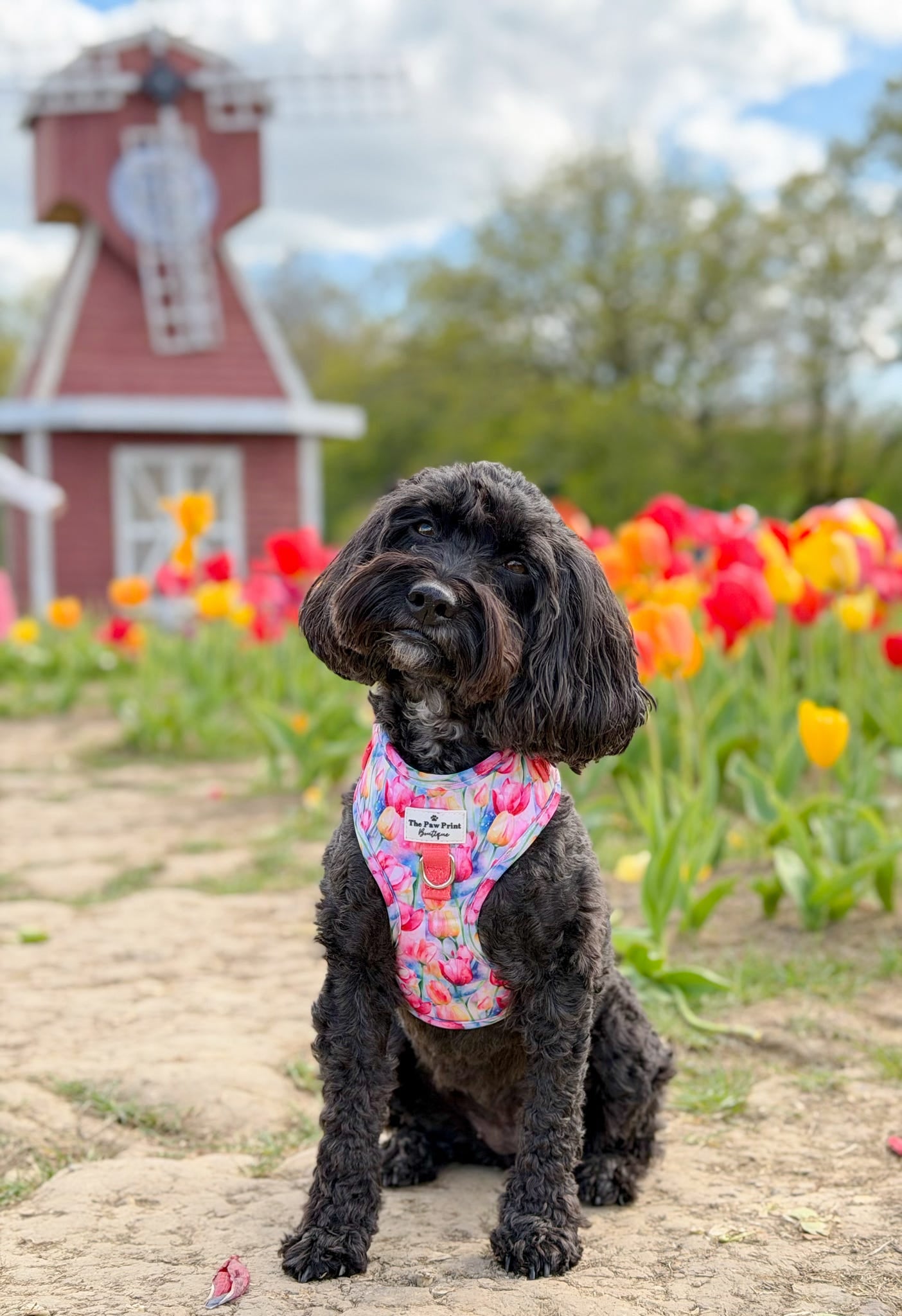 The Tulip Field Adjustable Harness