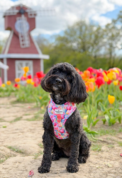The Tulip Field Adjustable Harness