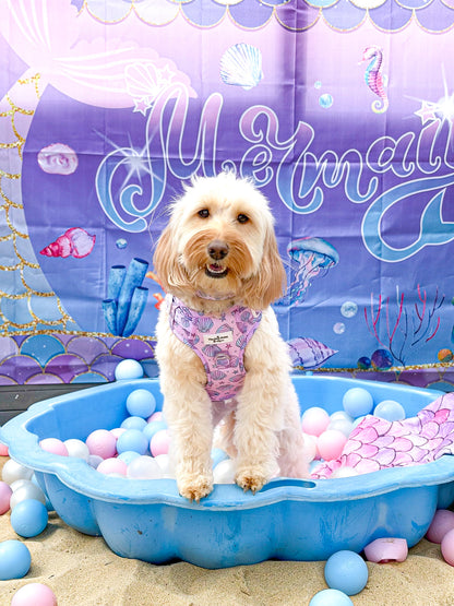 Mermaids Tails Adventure Paws Harness