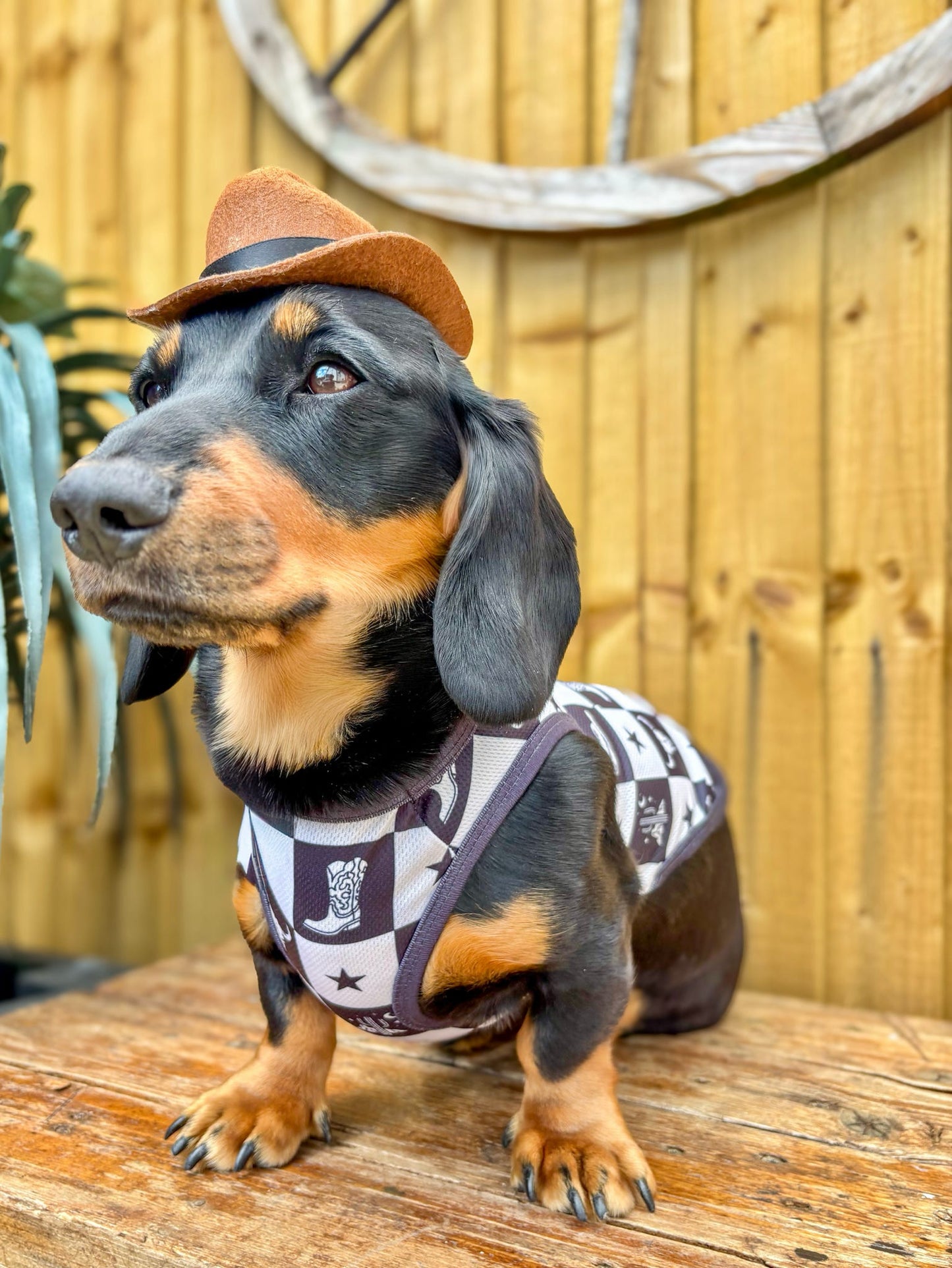 Wild West Cooling Vest
