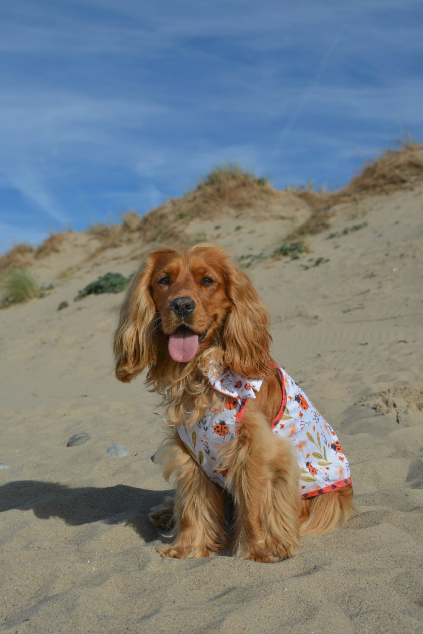 Ladybird Lane Cooling Vest