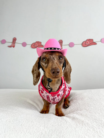 Giddy up Pup Cooling Vest