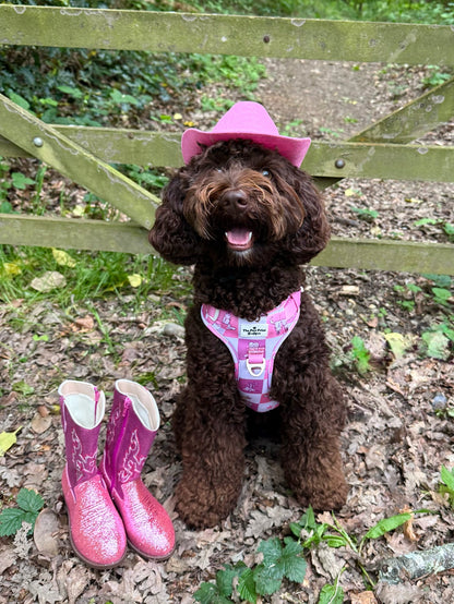 Cowgirl Cutie Adventure Paws Harness