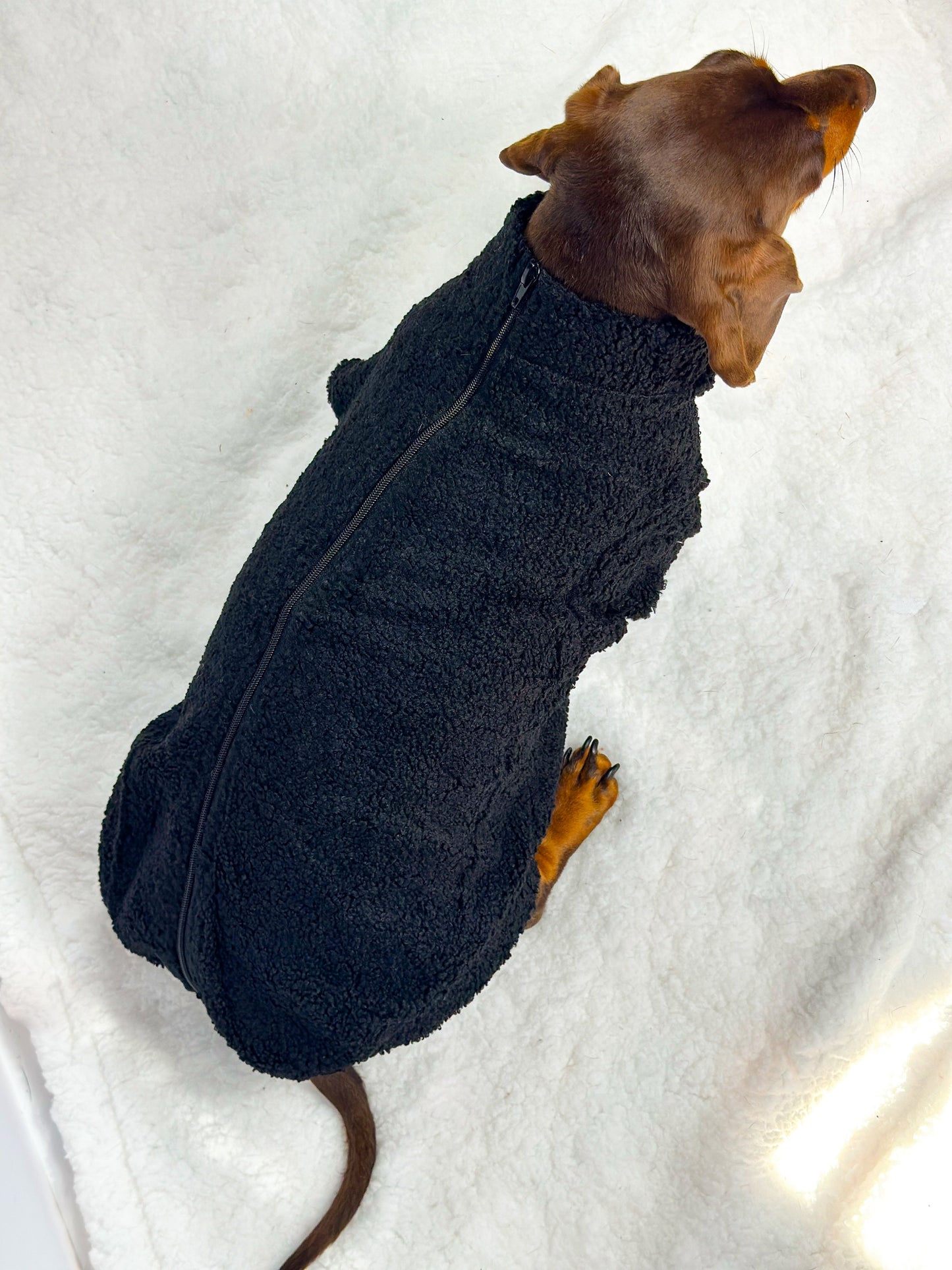 Teddy Fleece - Black