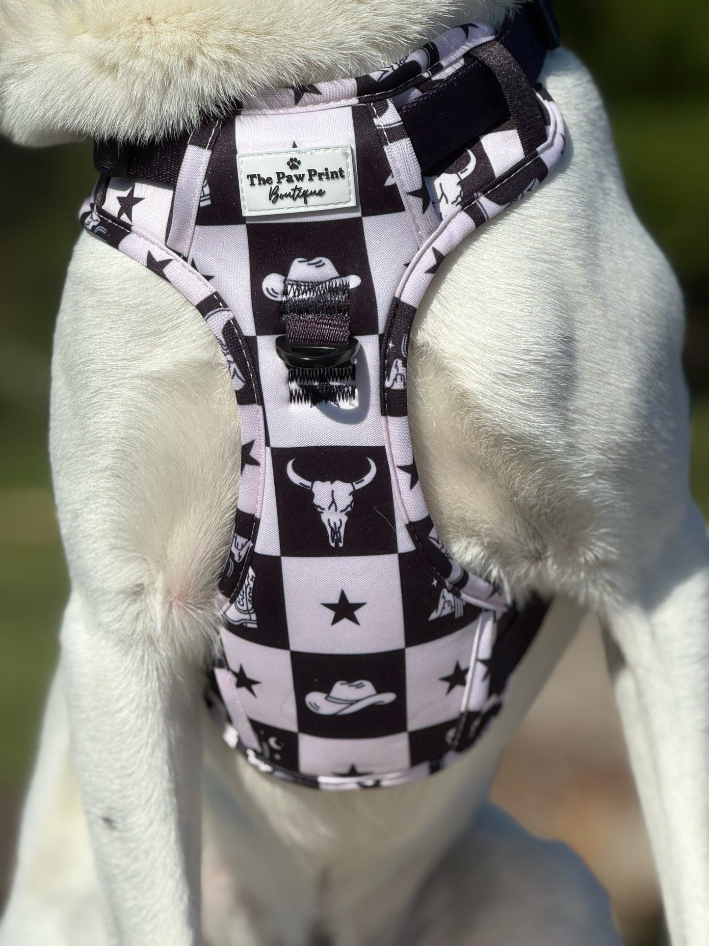 The Wild West Adventure Paws Harness