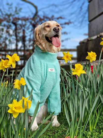 Teddy Fleece - Mint