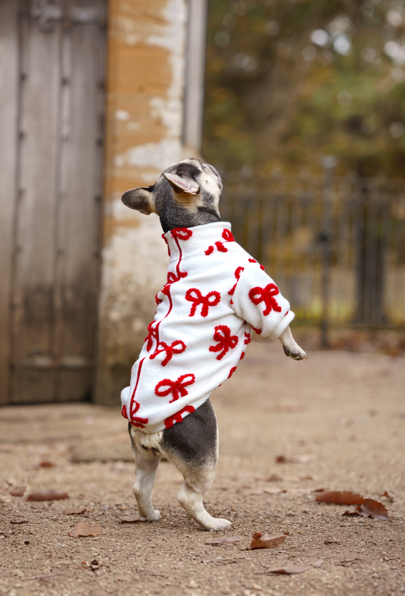 The Red Bow Fleece