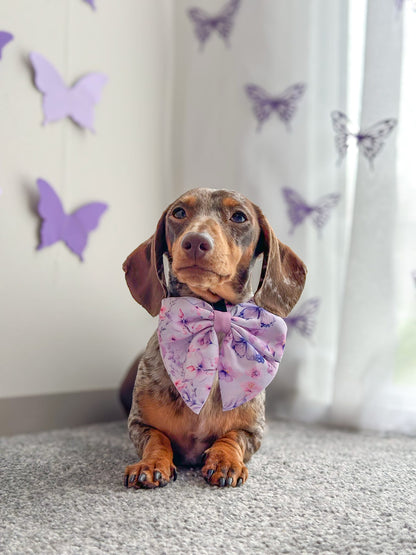 Butterfly Bliss Bow Tie