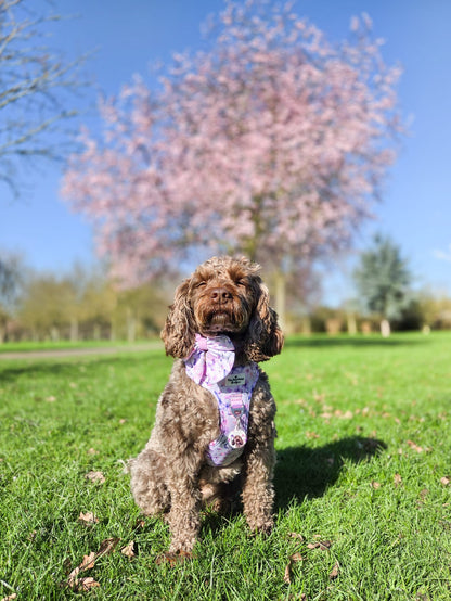 Butterfly Bliss Bow Tie