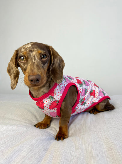 Sweet Strawberries Cooling Vest