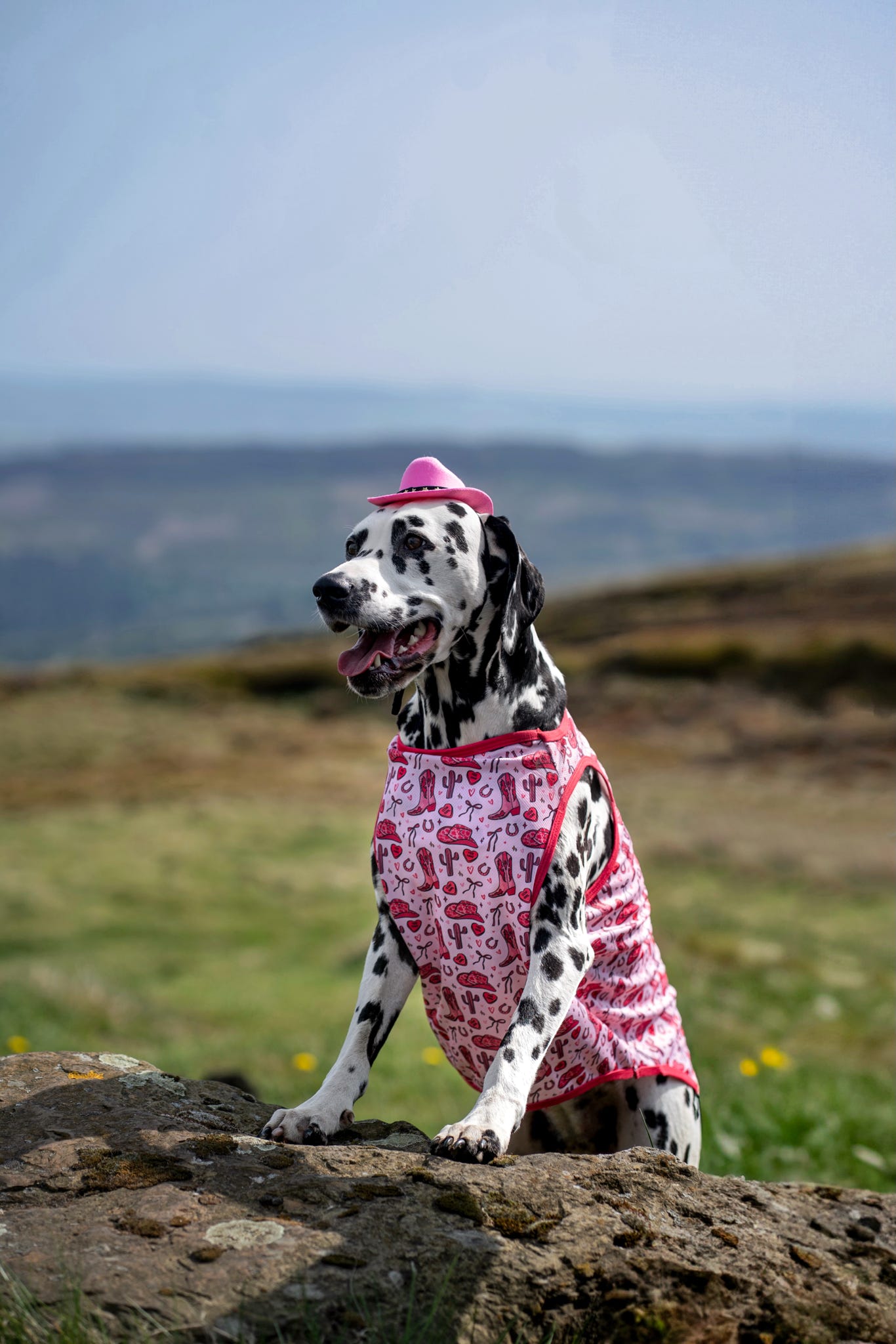Giddy up Pup Cooling Vest