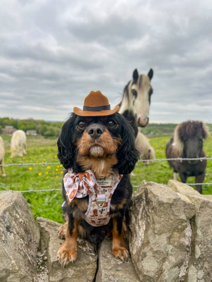 Howdy Pawtner Adventure Paws Harness