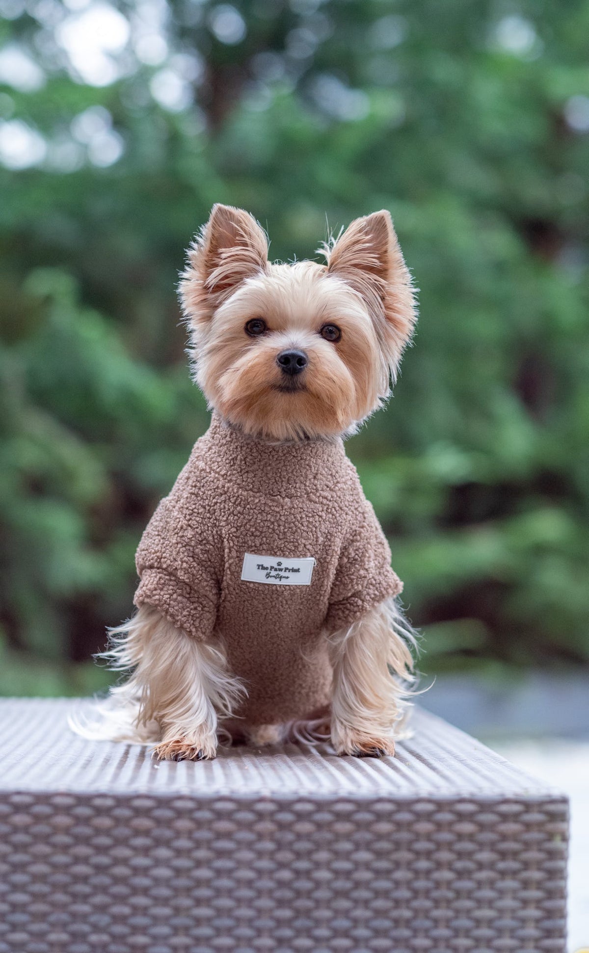 Teddy Fleece - Mocha