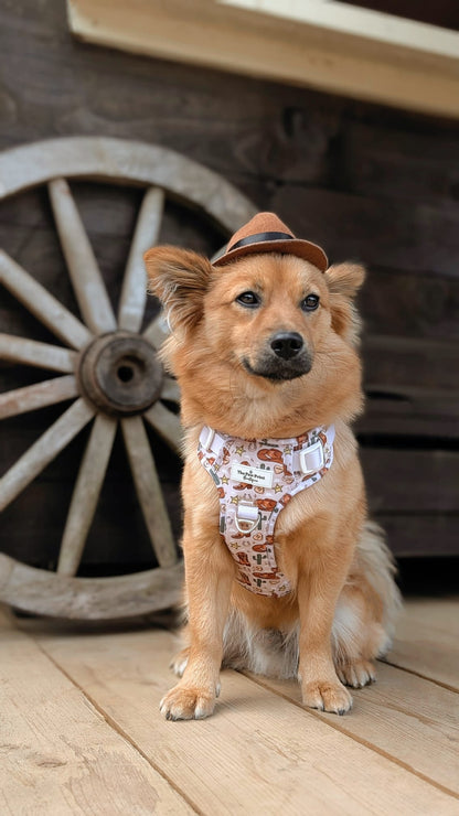 Howdy Pawtner Adventure Paws Harness