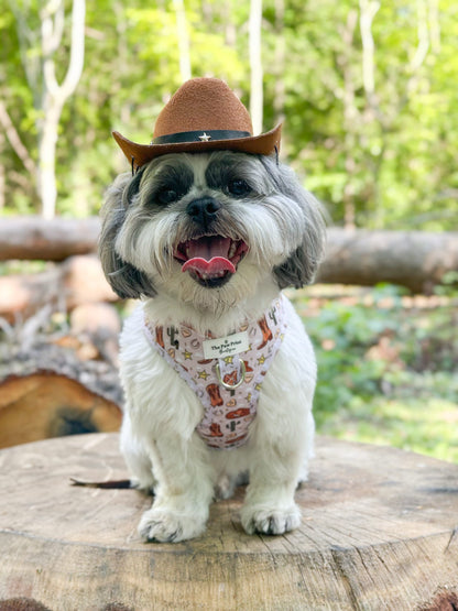 Howdy Pawtner Adjustable Harness