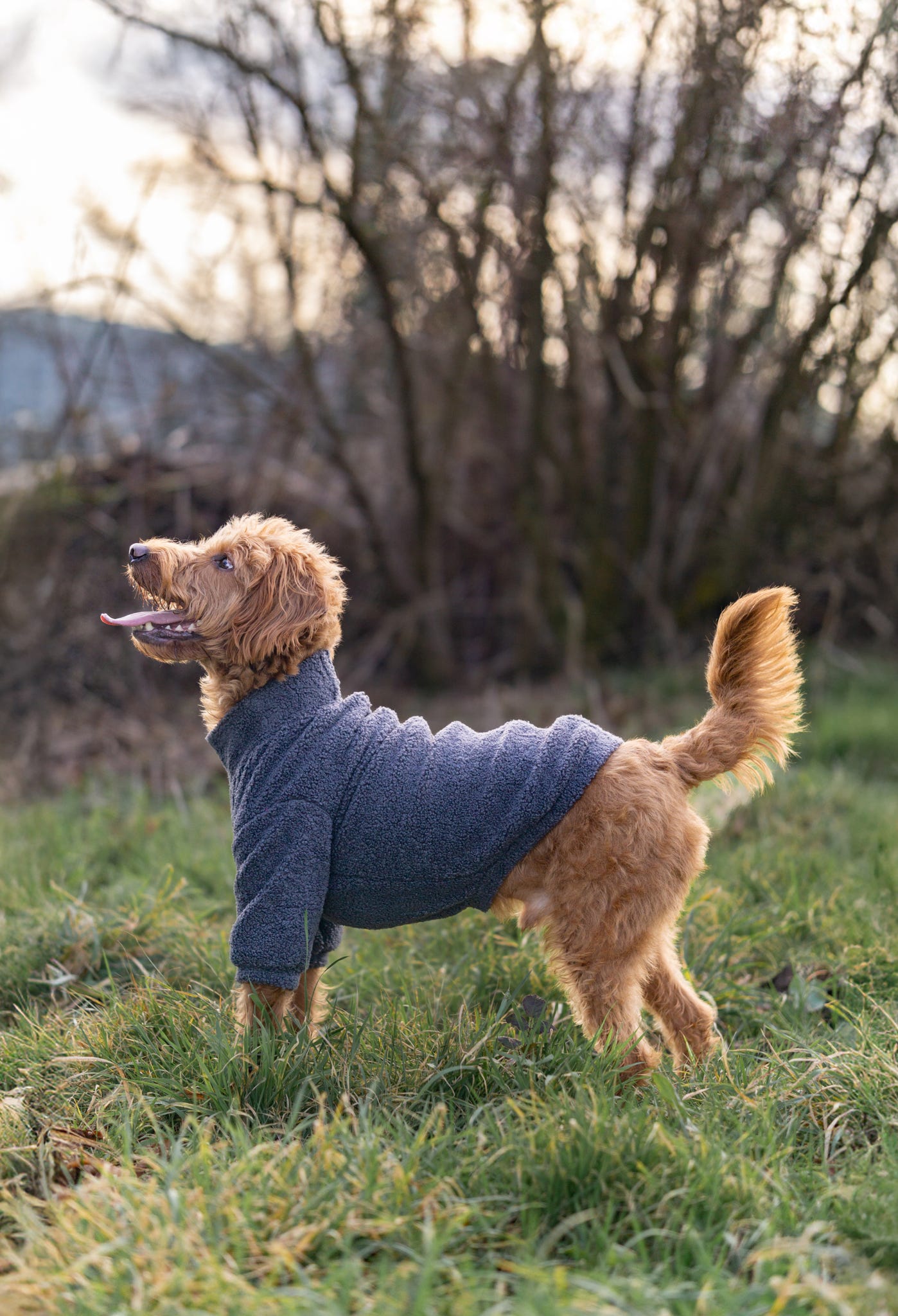 Teddy Fleece - Charcoal Grey