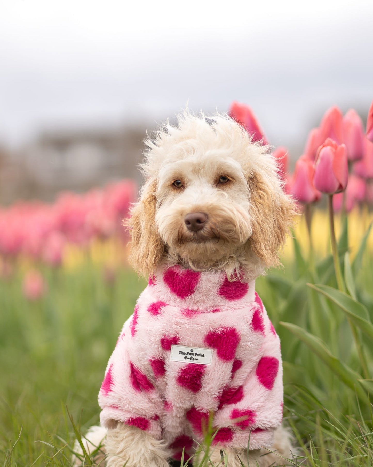 The Love Hearts Fluffy & Fabulous Fleece - Pink