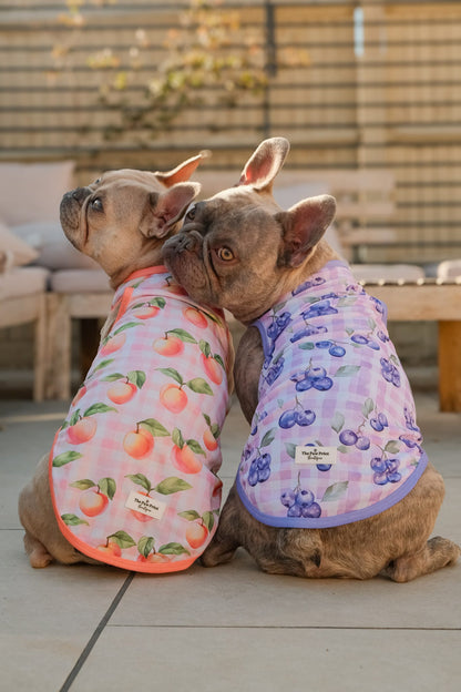 Peach Gingham Cooling Vest