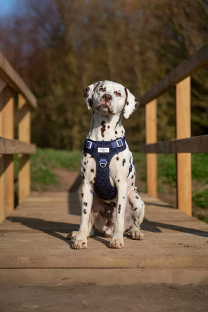 The Luxe Leopard (Navy) Adventure Paws Harness