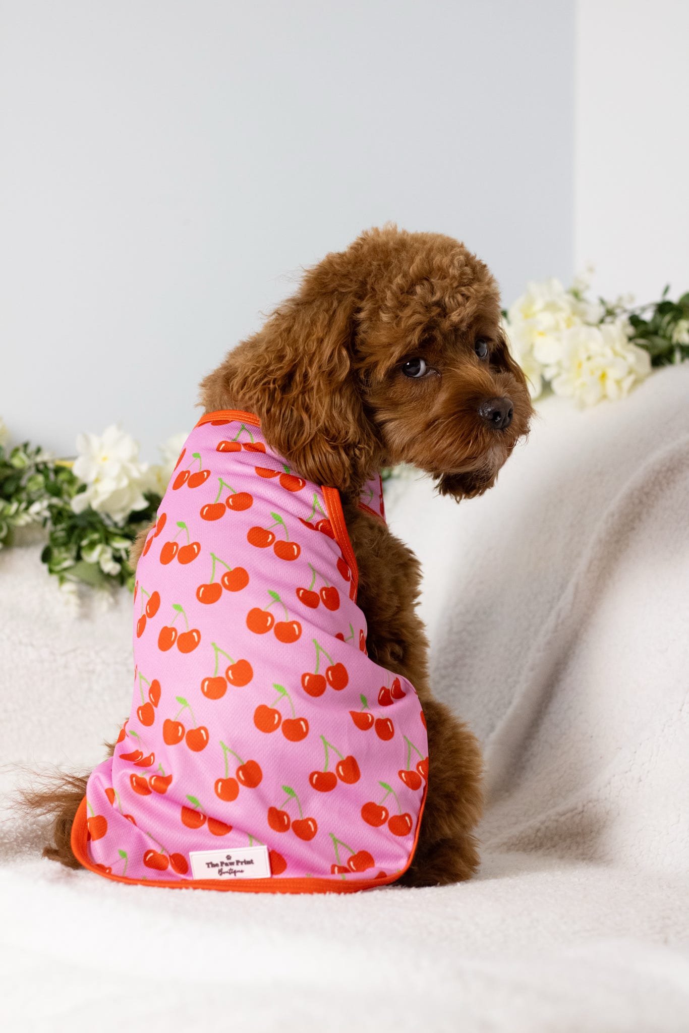 The Cherry on Top Cooling Vest