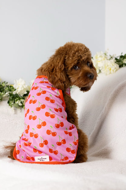 The Cherry on Top Cooling Vest